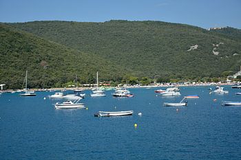 Bateaux dans la mer Adriatique