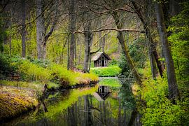 Chalet dans la forêt des contes de fées