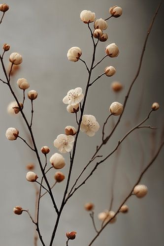 Ontluikende Lentebloesems ii