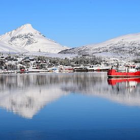 Red boat and snow-capped mountains reflected in water by Studio LE-gals