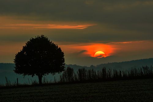 Herfstlandschap in het prachtige Erzgebergte