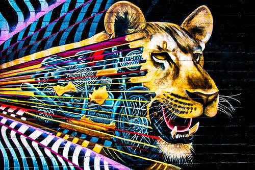 Driving Lion
