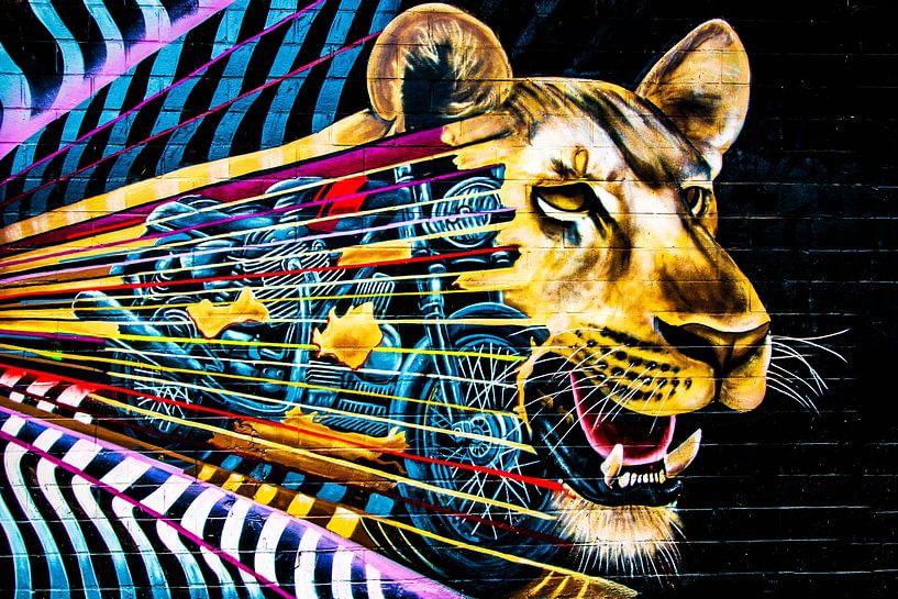 Driving Lion van Frames by Frank