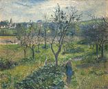 Tuin bij Val Hermeil, Camille Pissarro van All the Masters thumbnail