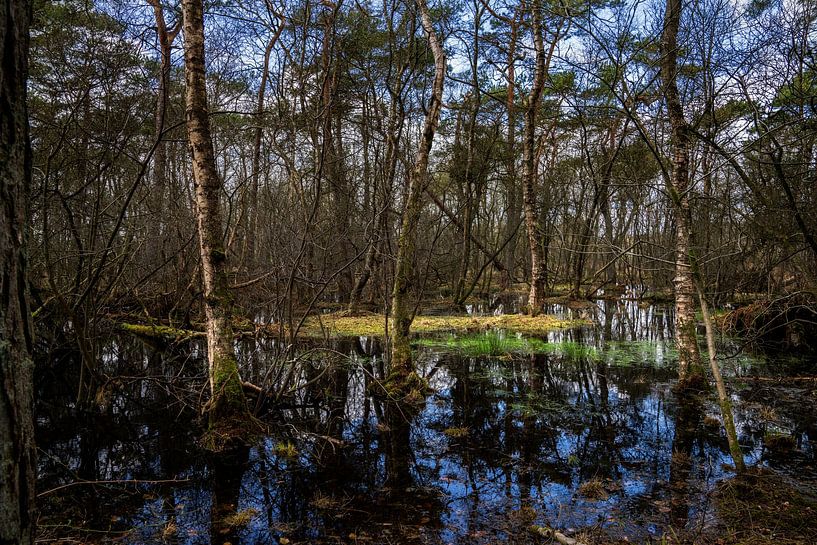 Appelbergen von Bo Scheeringa Photography