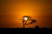 Sunset Kruger Park Afrique du Sud