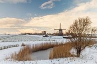 Nederlands winterbeeld van Menno Schaefer thumbnail