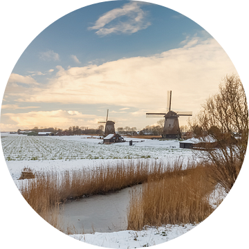 Nederlands winterbeeld