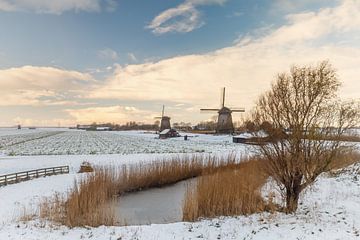 Nederlands winterbeeld van Menno Schaefer