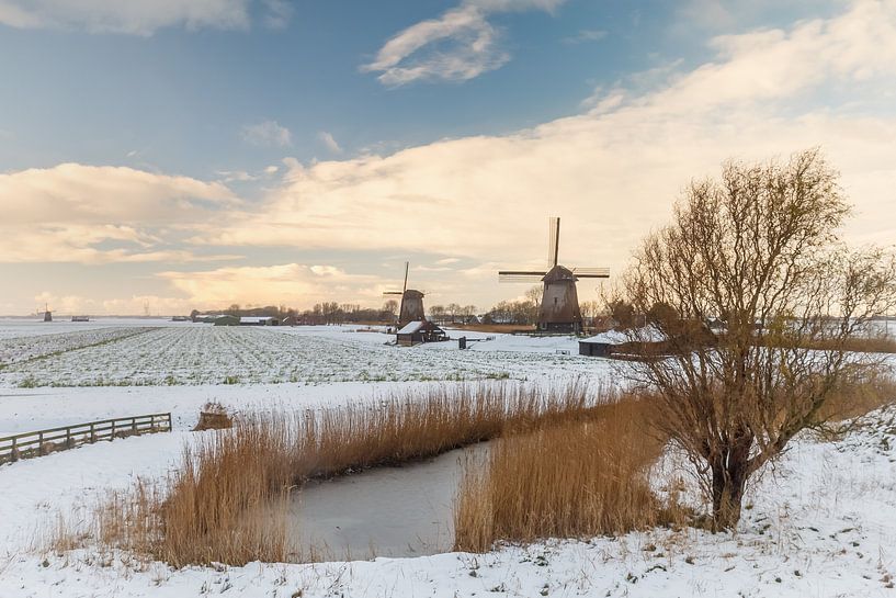 Image d'hiver néerlandaise par Menno Schaefer