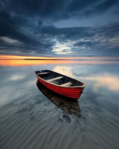 Beauty of the moment