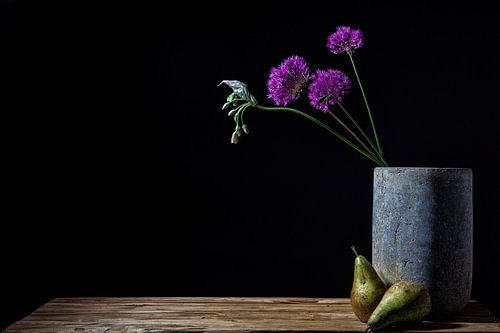 Still life of Allium (onion bulbs) in concrete vase