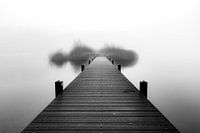 Into the mist