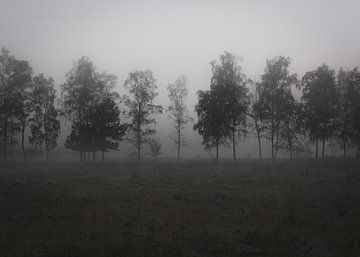In de mist van Angelique Theunissen
