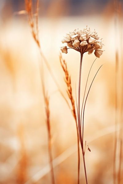 September Impression by Treechild