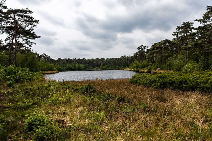 Diaconieven Oisterwijk by Carin IJpelaar