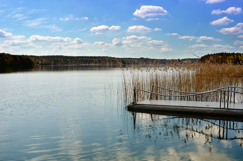 At the lake by Violetta Honkisz