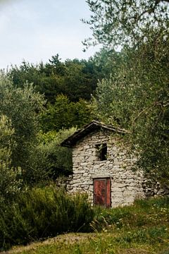 Verstecktes traditionelles Haus in den Bergen I Arco, Italien von Manon Verijdt