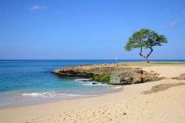 Arrivée au parc de la plage de Nānākuli
