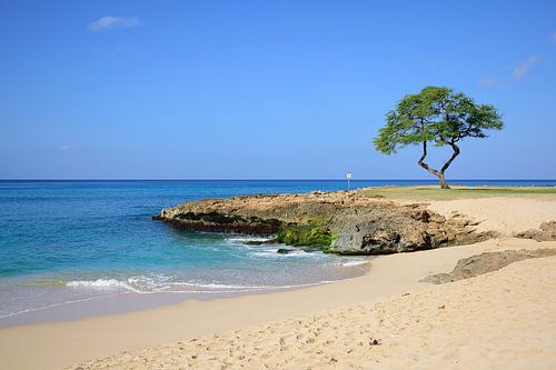 Aangekomen bij het Nānākuli strandpark