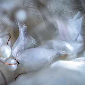 Solidarité sur Eugene Winthagen