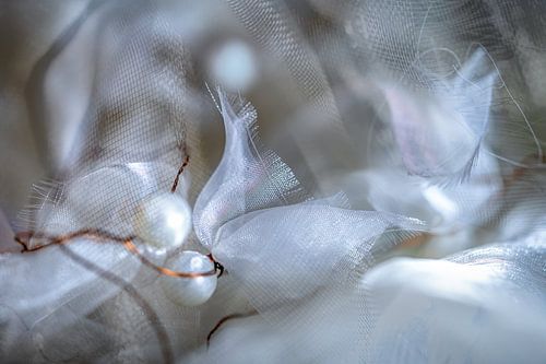 Mutual connection by Eugene Winthagen