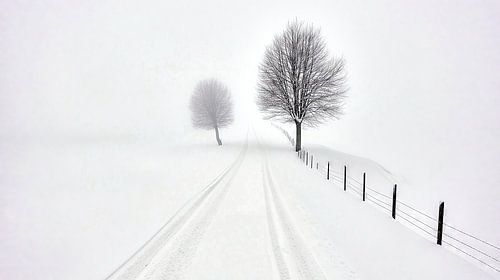 Snow-covered road in the fog