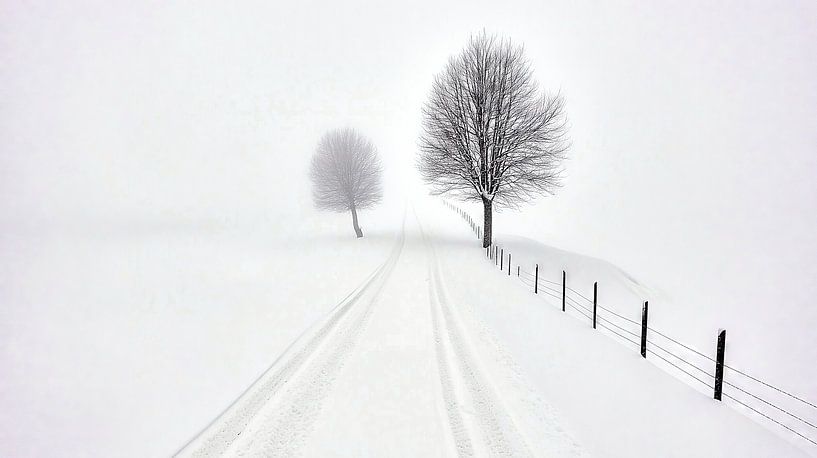 Schneebedeckte Straße im Nebel von Frank Heinz