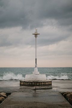 Seagull on lamppost by Ayla Maagdenberg