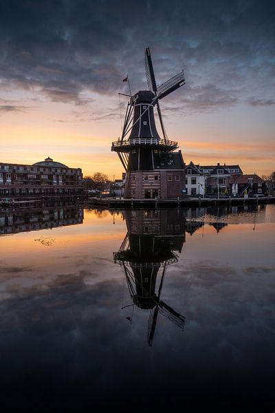 The Adriaan by Manuuu