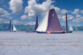 Skûtsje sailing races in Friesland. by Brian Morgan