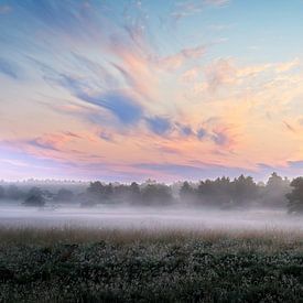 Good morning, Drenthe by Drenthograaf