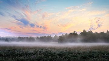 Good morning, Drenthe