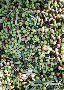 Oliven in Marrakesch von Raisa Zwart