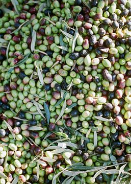 Olives in Marrakech by Raisa Zwart