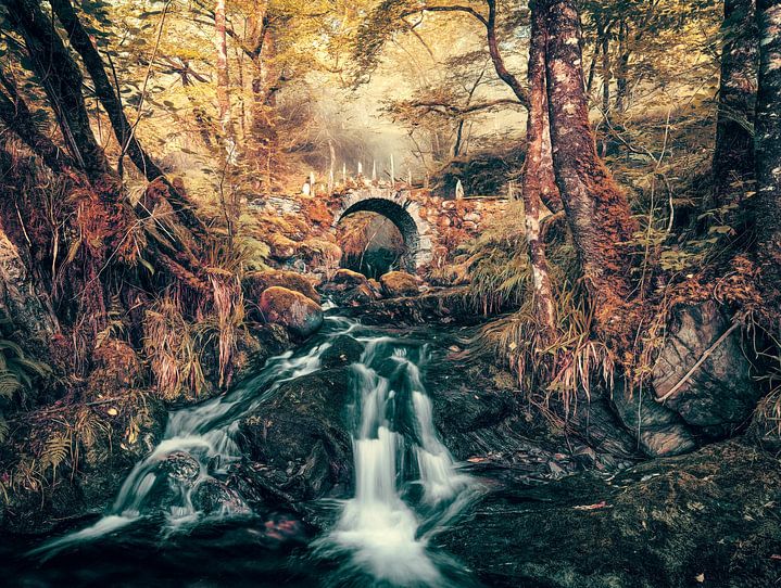 Brug naar Mordor van <span class="secondary-font">Lars van de Goor</span>