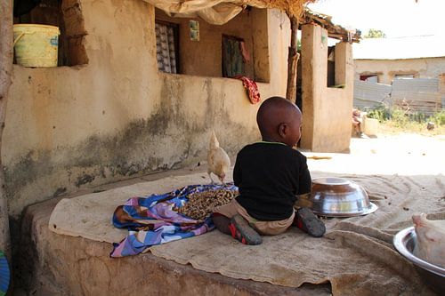 Gambian Compound van Anouk van Schip - Global Adventures