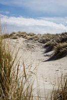 Dunes aux Pays-Bas