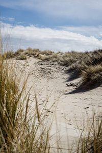Dunes aux Pays-Bas sur Vera Konijn
