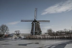 La scène néerlandaise