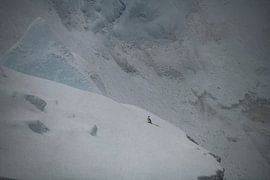 Eenzaam op het IJs – Minimalistisch Antarctica van Nanda Bussers