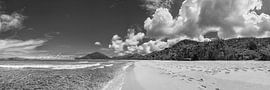 Tropisch Caribisch strand in zwart en wit van Manfred Voss, Zwart-Wit Fotografie