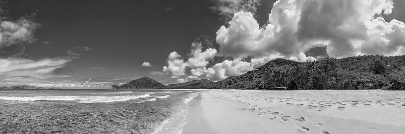 Tropischer Karibik Strand in schwarz-weiß von Manfred Voss, Schwarz-weiss Fotografie