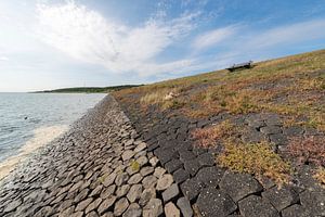 Waddendijk op het Waddeneiland Vlieland
