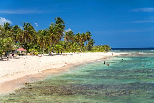 Droomstrand op Guadeloupe