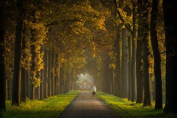 Riding the bike in the golden light by Edwin Mooijaart