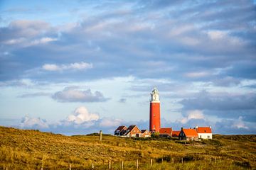 Leuchtturm und Häuser in den Dünen auf der Watteninsel Texel von Sjoerd van der Wal