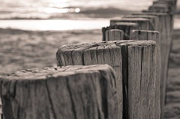 Stapelköpfe Zoutelande, froh, dass ich hier bin (BLØF)