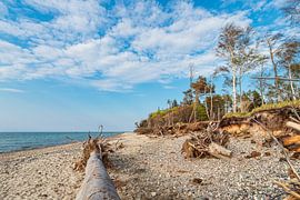 Plage sur la côte de la mer Baltique près de Graal Müritz sur Rico Ködder