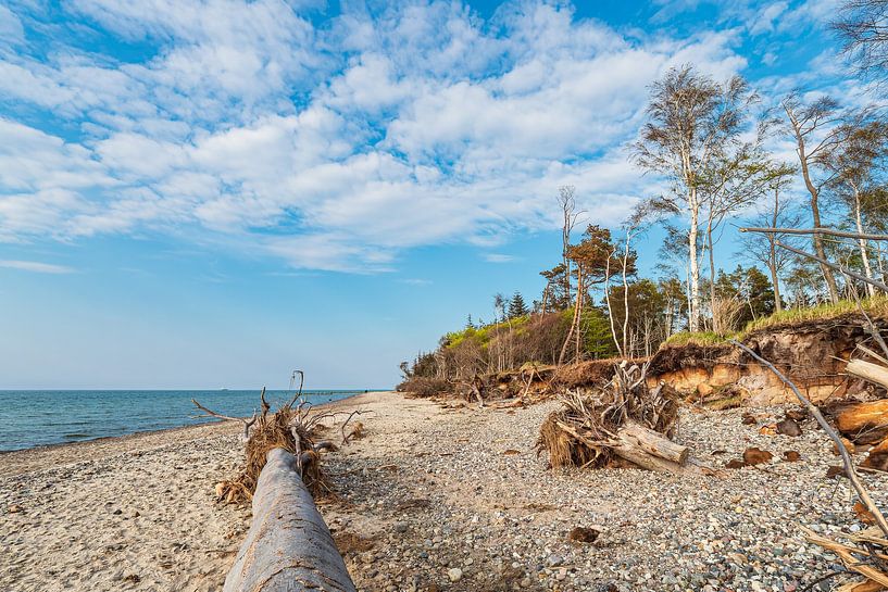 Strand an der Küste der Ostsee bei Graal Müritz von Rico Ködder